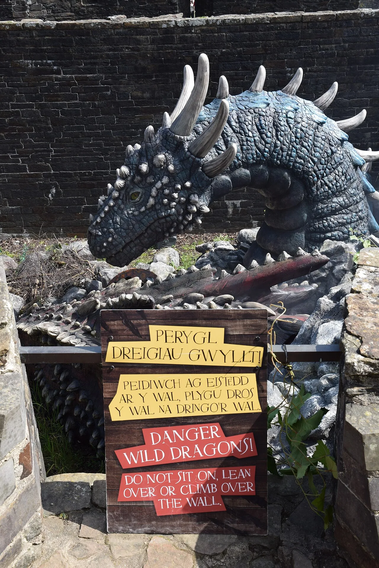 Here There Be Dragons